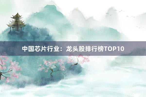 中国芯片行业：龙头股排行榜TOP10